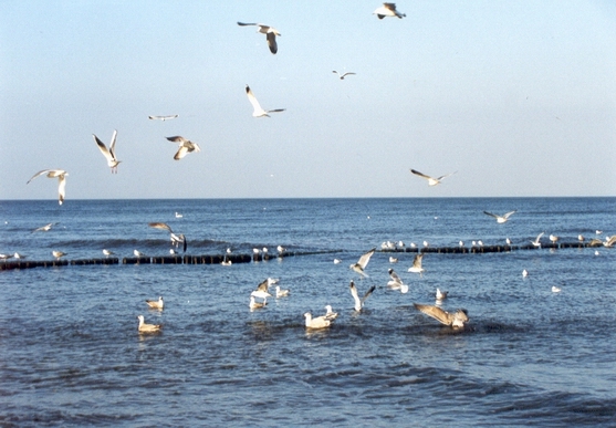 01_baltyk_kolobrzeg1.jpg