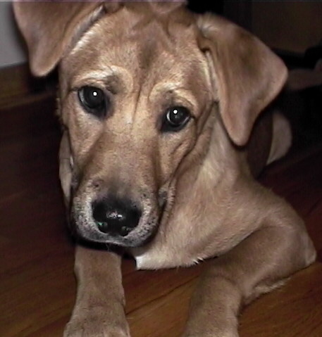 mittsy6month.jpg